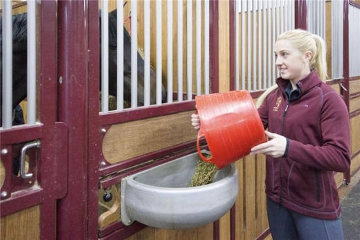 Futter im Stall