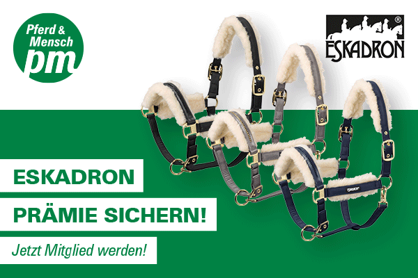 Eskadron Prämie