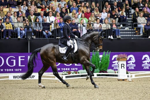 Cathrine Laudrup-Dufour und Freestyle