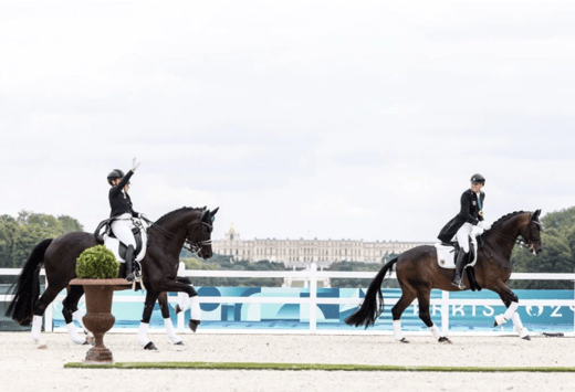 Potenzial im Reitsport